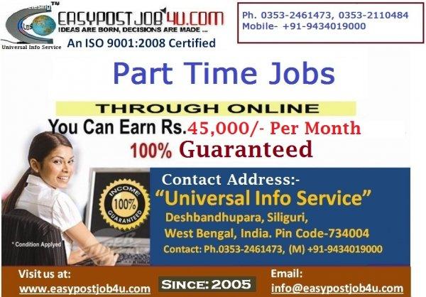Earn at your Leisure by Working Online
