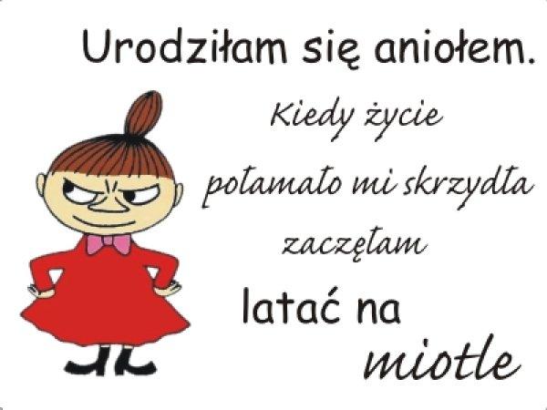 lengyel-magyar fordítás, tolmácsolás