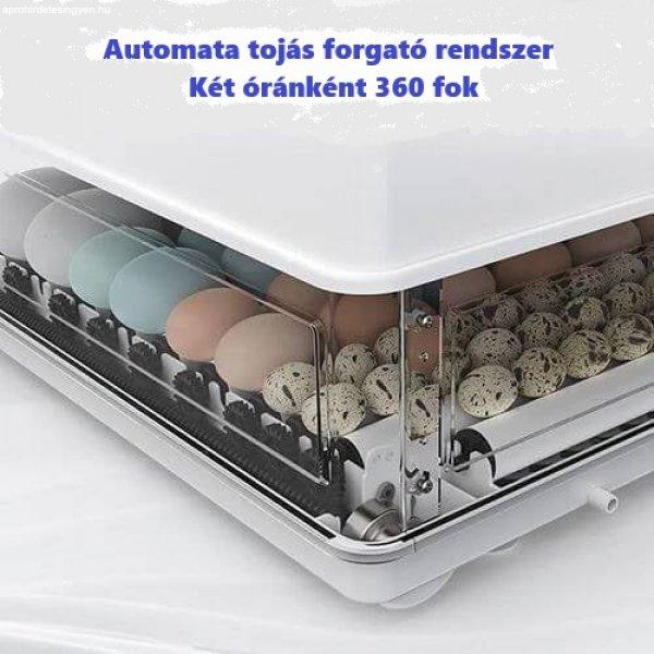 Eladó új automata inkubátor MS-70 tojás számára