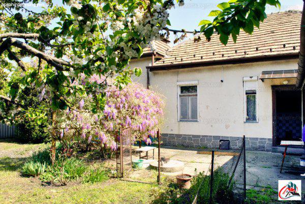 Dunaharasztin 100 m2 önálló családi ház 564 m2 telken eladó