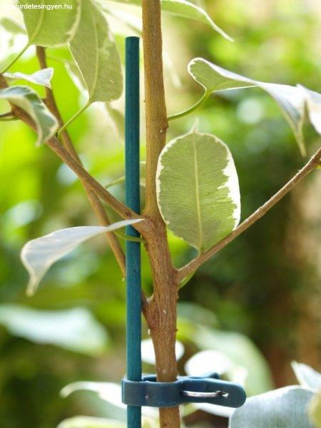 Festett bambuszpálca cserepes növényekhez 25db/csomag - zöld, 40cm