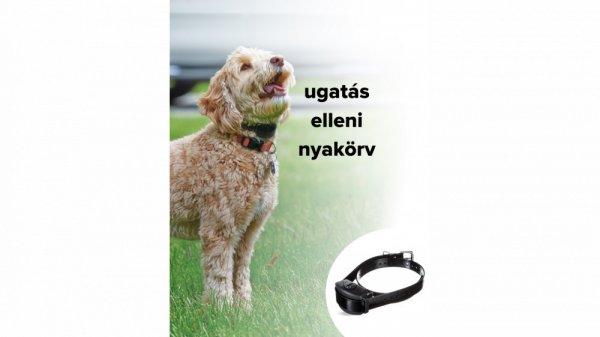 Ugatásgátló nyakörv, kutya ugatás elleni Dogwatch BT7