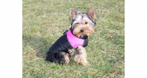 Doggie Vest kutyaruha 7 méretben, fekete-pink