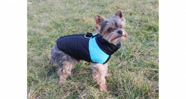 Doggie Vest kutyaruha 7 méretben, fekete-kék