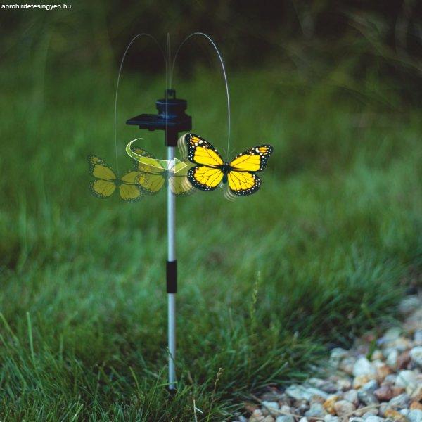 Szolár repkedő pillangó