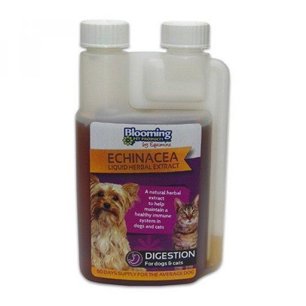 Echinacea – Kasvirág immunerősítő oldat kutyáknak és macskáknak 250 ml