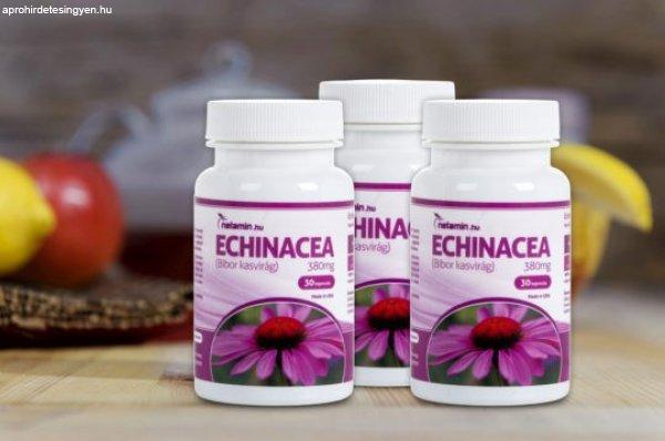 Netamin Echinacea 380 mg kapszula