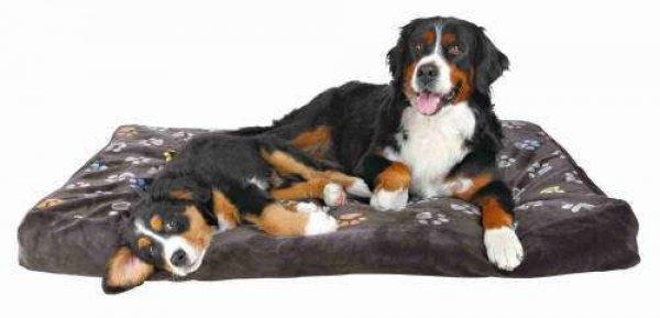 Trixie Jimmy Bed - négyszögletes fekhely kutyák részére 80x55cm