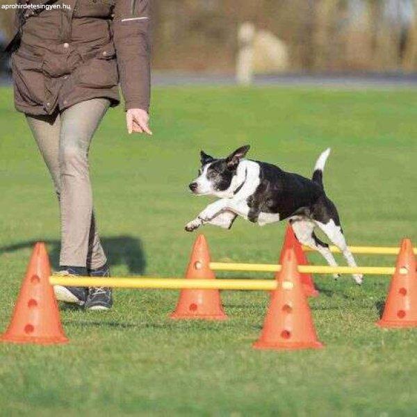 Trixie Dog Activity agility akadálypálya szett (Tartalom: 4 bólya, 2 rúd,
Méretek: Ø30cm x 50/100cm)
