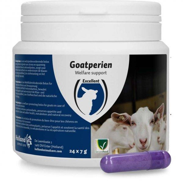 Excellent Goatperien Bolus, juh, kecske, egészség, vitamin, ásványi anyag