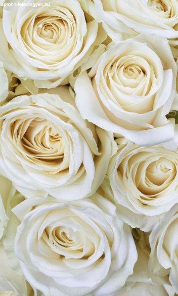 Fehér rózsafejek, poszter tapéta 150*250 cm