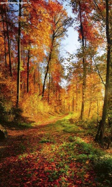 Varázslatos őszi tájkép, poszter tapéta 150*250 cm