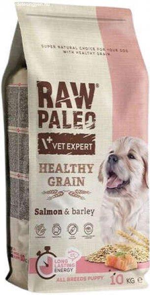 Raw Paleo Healthy Grain Puppy Salmon 10 kg