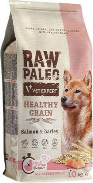 Raw Paleo Healthy Grain Adult Salmon 10 kg