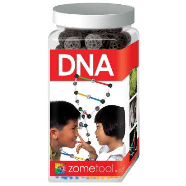 Tudományos modellező készlet - DNA - DNS molekula