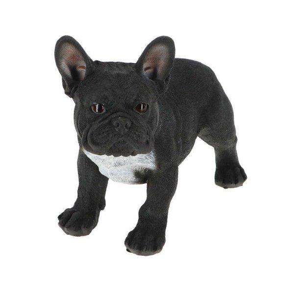 Álló francia bulldog polyresin szobor, fekete, kültéri és beltéri
dekorációs kiegészítő
