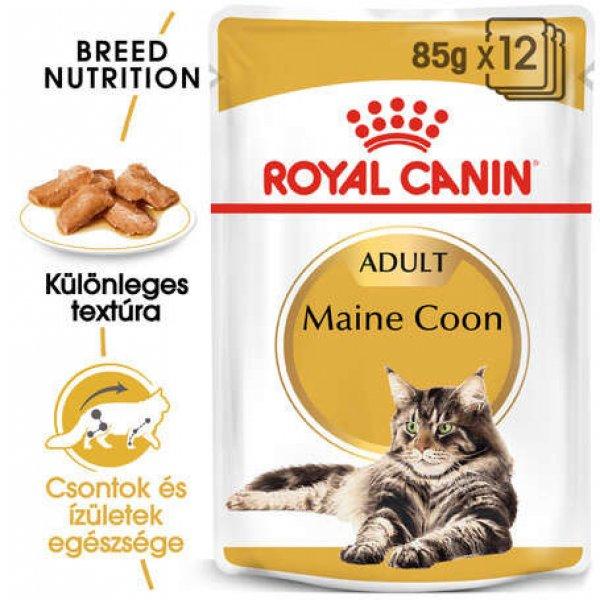Royal Canin Maine Coon Adult - Maine Coon felnőtt macska nedves táp (48 x 85
g) 4.08 kg