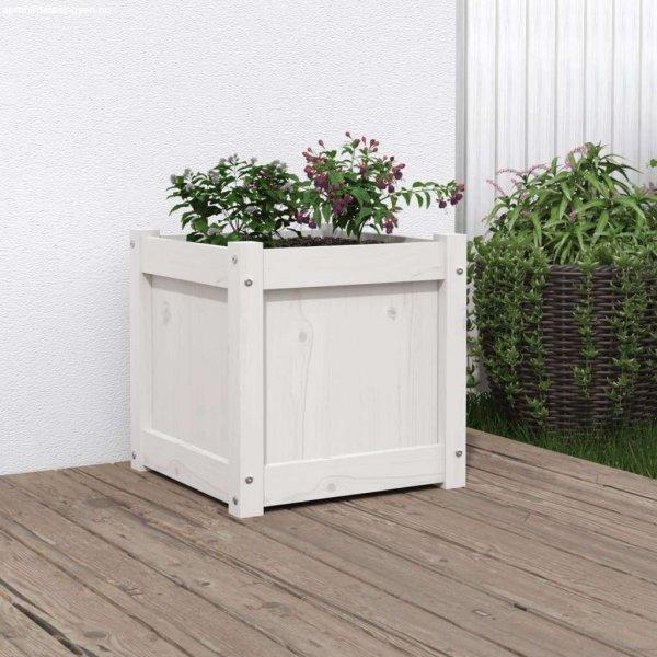 vidaXL fehér tömör fenyő kerti virágláda 40x40x40 cm