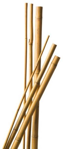Bambusz növénytámasz 10db d6-8 mm, 60cm natúr