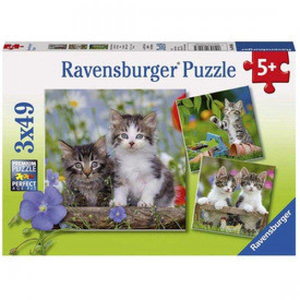 Ravensburger Puzzle 3x49 db - Édes kiscicák
