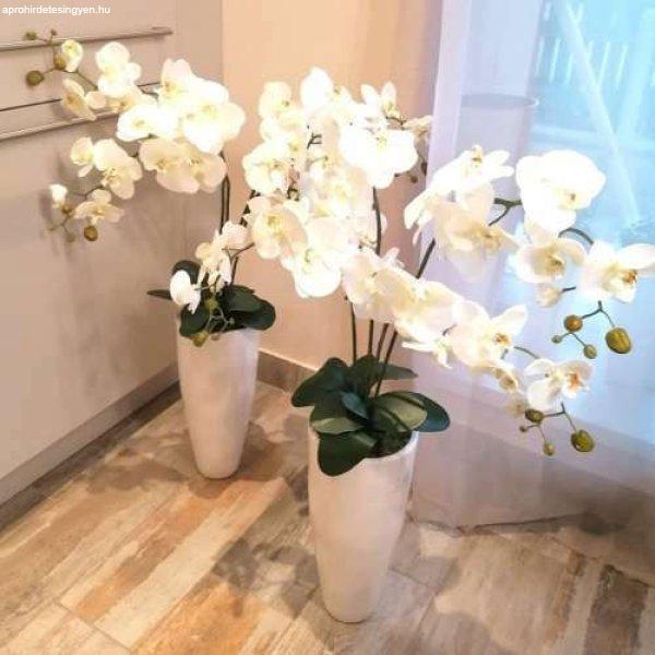 Nőnapi ajándék  PRÉMIUM MINŐSÉGÚ ORCHIDEA  padlóvázás orchidea