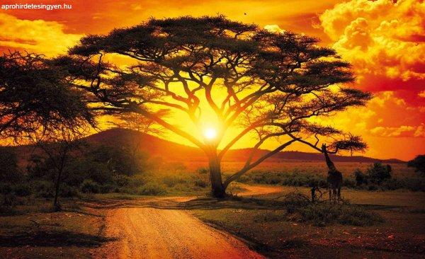 Fotótapéta Napnyugta Afrikában