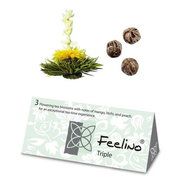 Feelino Teavirágok, 6 különböző fajta, egyenként csomagolva, nagyon
produktív