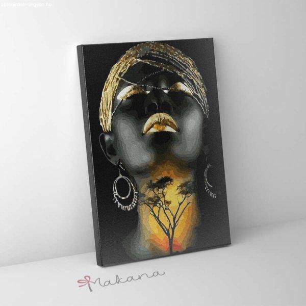 Afrikai nő - Számfestő készlet, kerettel (50x65 cm)