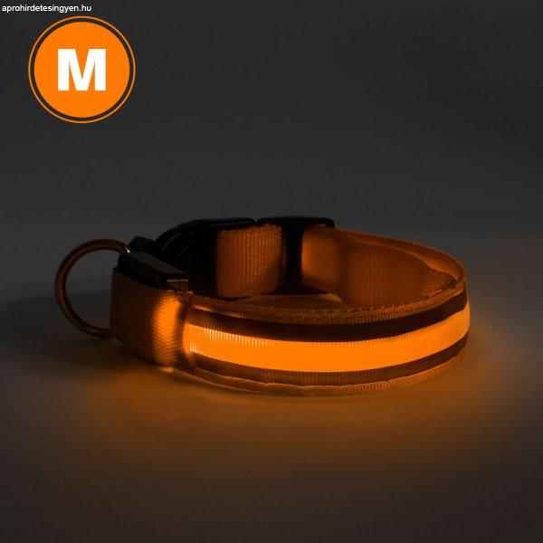 LED-es nyakörv - akkumulátoros - M méret - narancs