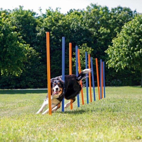 Trixie Dog Activity Agility Slalom kutya játék 115 × ø 3 cm Kék/orange 3206