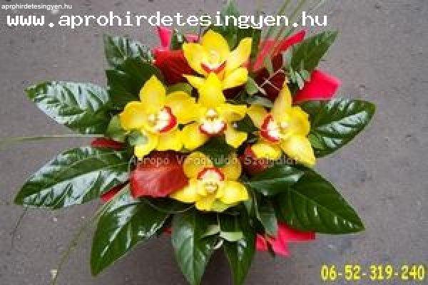 Virágbolt és Virágküldő Szolgálat Debrecen 06-52-319-240