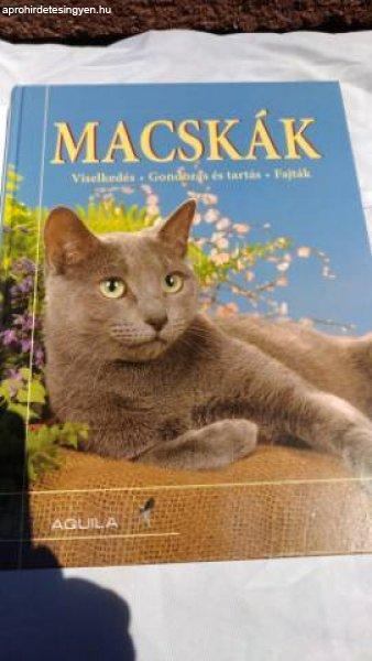 Macskák könyv nagy méretű
