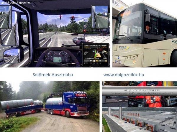Buszsofőrnek Ausztriába
