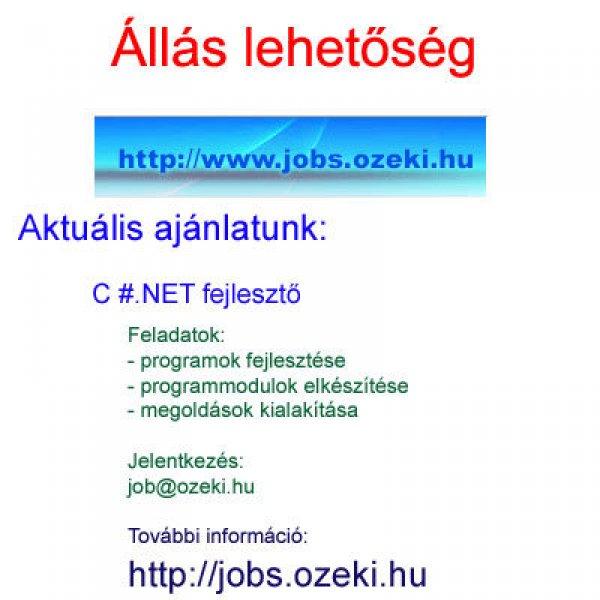 Programozó állás Debrecenben