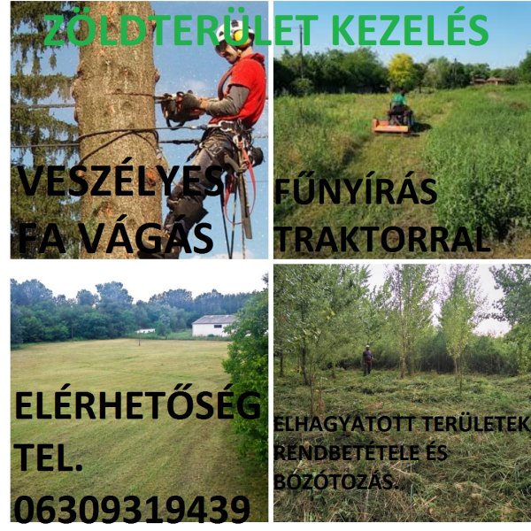 Zöldterület kezelés Pécs és környéke