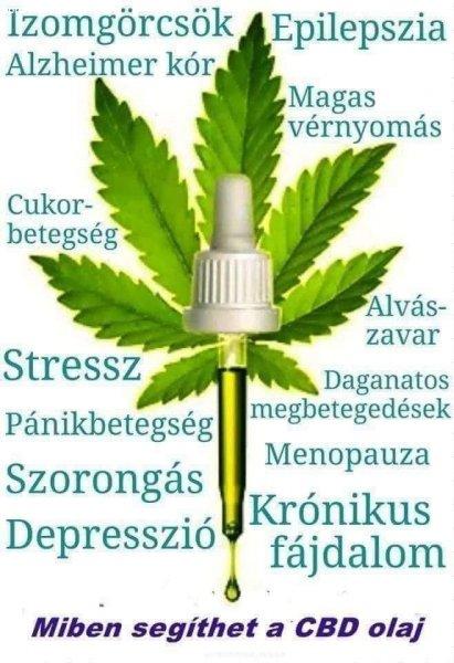 CBD termékek forgalmazása országosan, külföldön