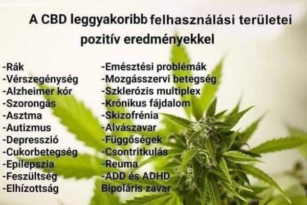 CBD termékek forgalmazása