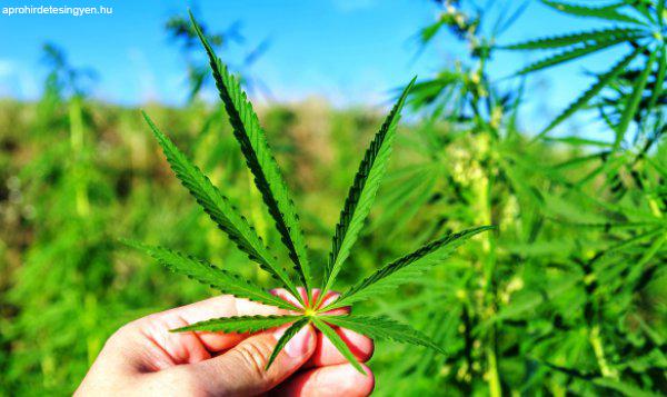 BIO FŰ,SPICE,AM POR,HERBAL ALAPANYAG