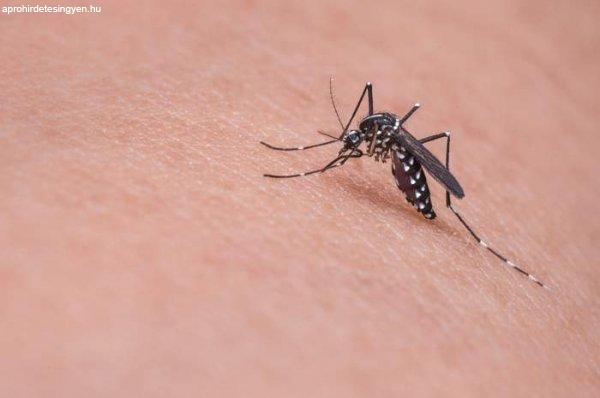 szúnyoggyérítés  az ország településein