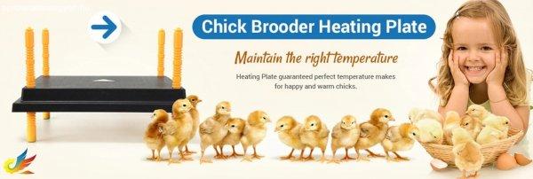 Eladó új csirke melegítő - Fűtőpanel csibék számára MS-65x45