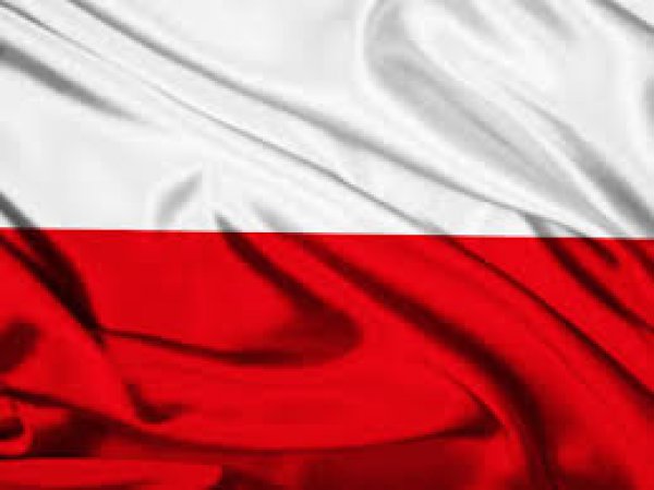 Lengyel-magyar, magyar-lengyel fordítás kedvező áron