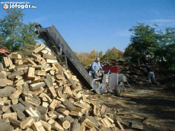Tűzifa Kitermelési Áron 100% Mennyiség És Minőség