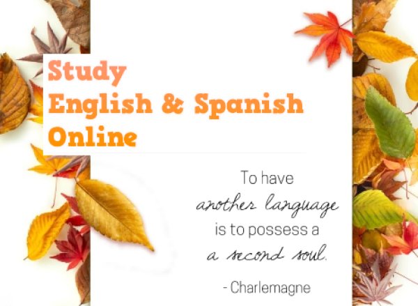 Online Angol és Spanyol oktatás