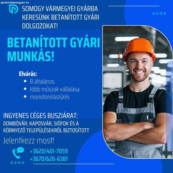 Betanított gyári munkalehetőség Somogy vármegyében!