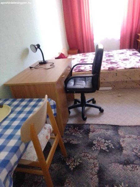 Debreceni Egyetemek közelében főbérlős lakásban szoba