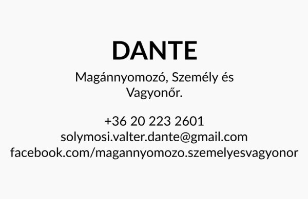 DANTE Magánnyomozó, Személy és Vagyonőr.