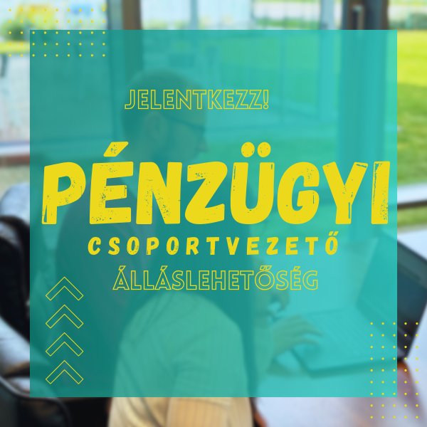 Pénzügyi csoportvezető