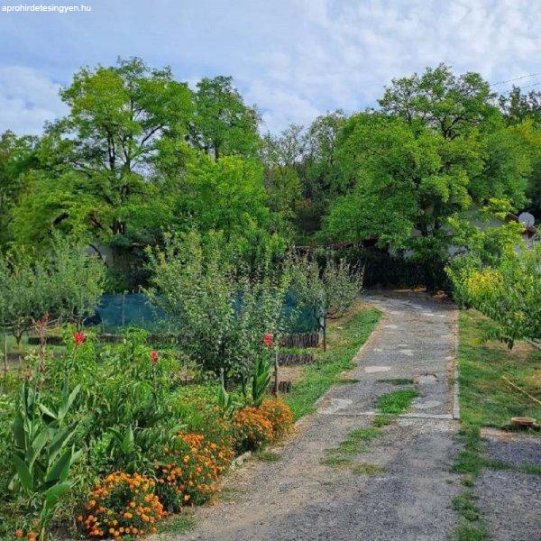 Gomba-Felsőfarkasdon 2 szoba+nappalis ház 1000 m2 telekkel