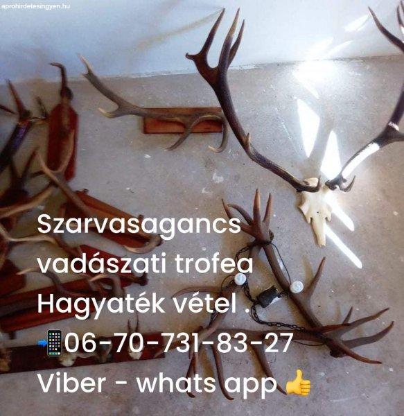 Agancs felvásárlás Budapest 06-70-731-8327