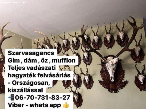 Agancs felvásárlás Veszprém